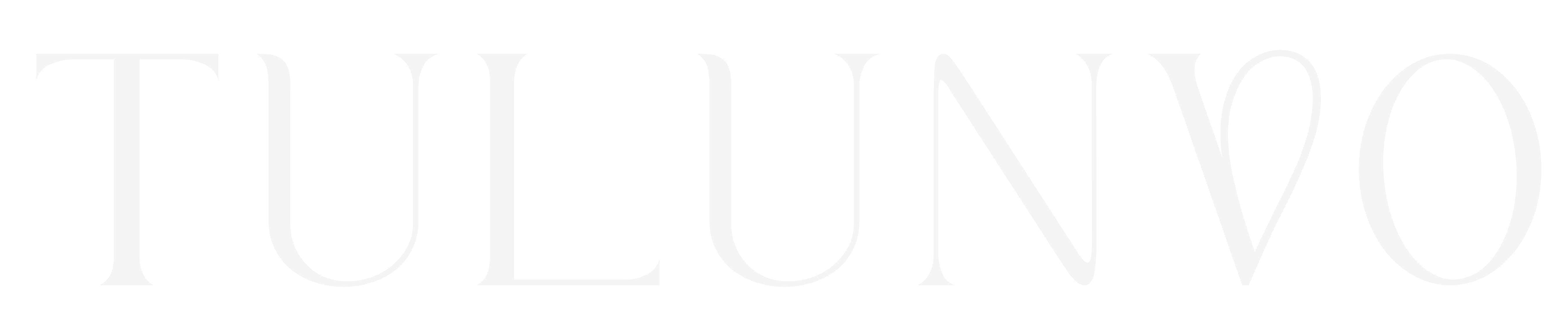 logo Tulunvo